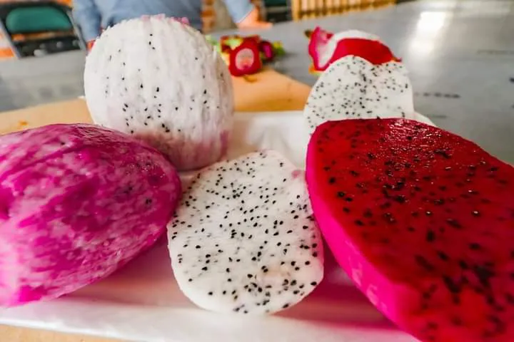 facebook_1721049187221_7218603490157888960