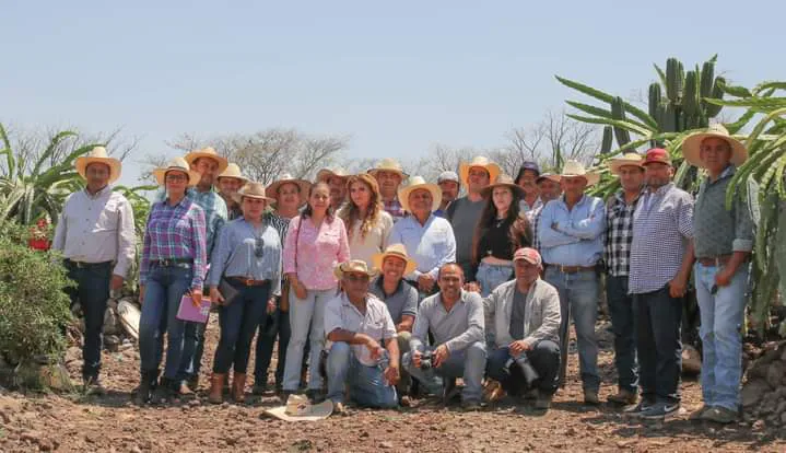 facebook_1713099701741_7185260931415117757