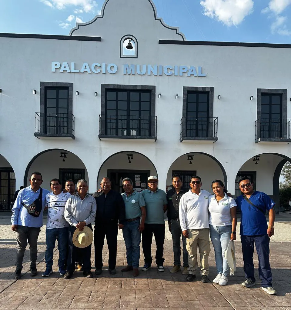 IMG-20250517-WA0060~2