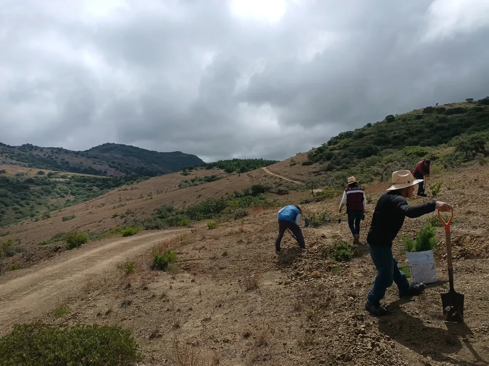 IMG_20231002_104830263