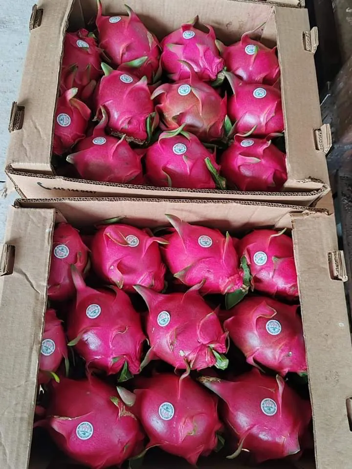 facebook_1721049139304_7218603289181450718