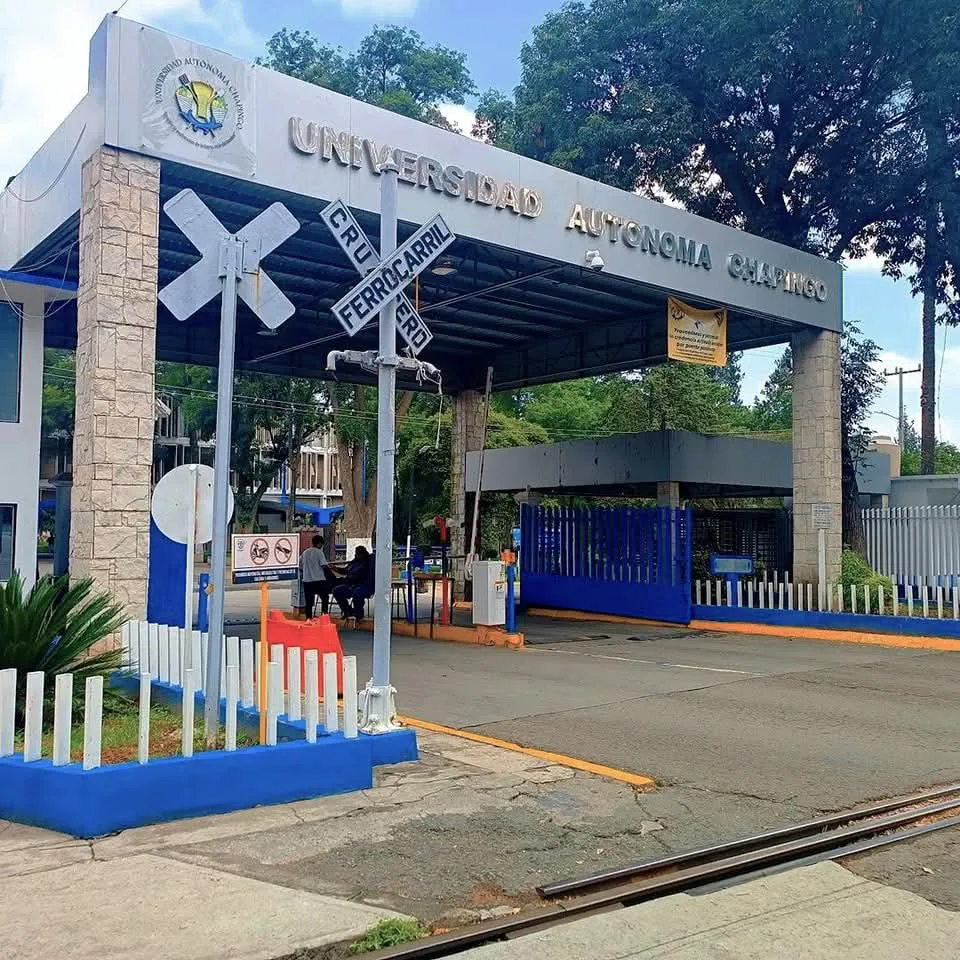 facebook_1736709261477_7284286602253281706