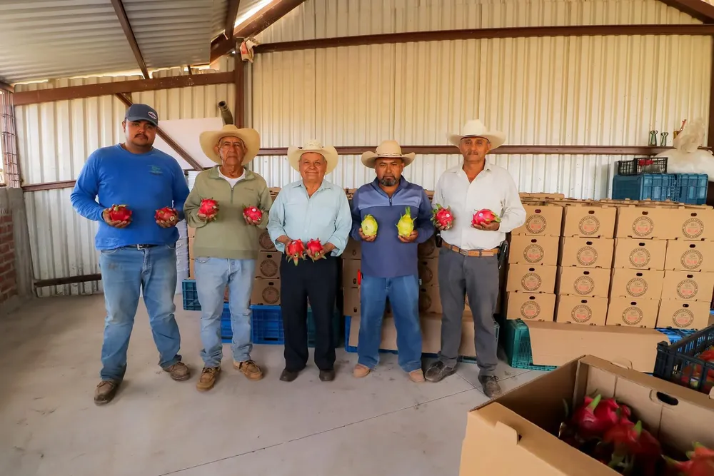 CBE03AE0-D6FB-4F66-9449-49F0526C0D63