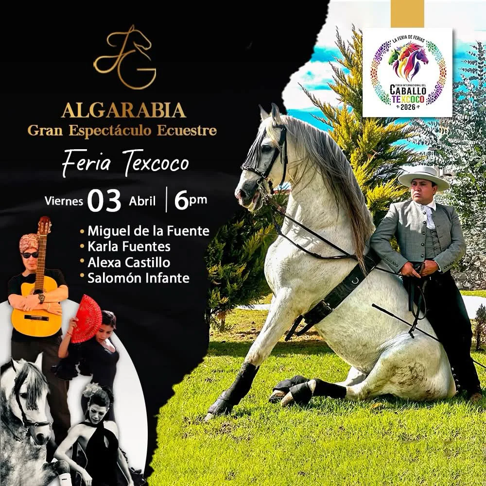 facebook_1774216832351_7441604756799575104