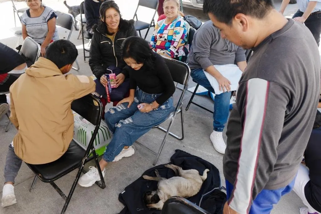 55E6B3EC-5C69-41AA-8D9F-5C82CFC3787C