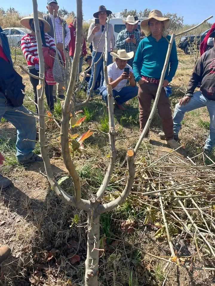 facebook_1737811378826_7288909217455852854