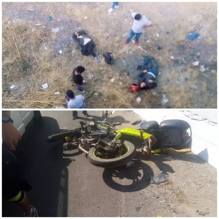 Collage_20220130_162424[1]