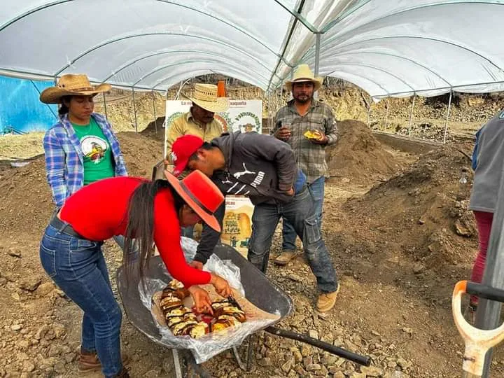 facebook_1704649906912_7149819923163876734