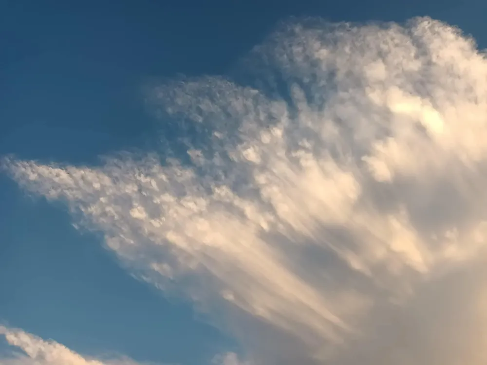 facebook_1765283747299_7404136682435057535