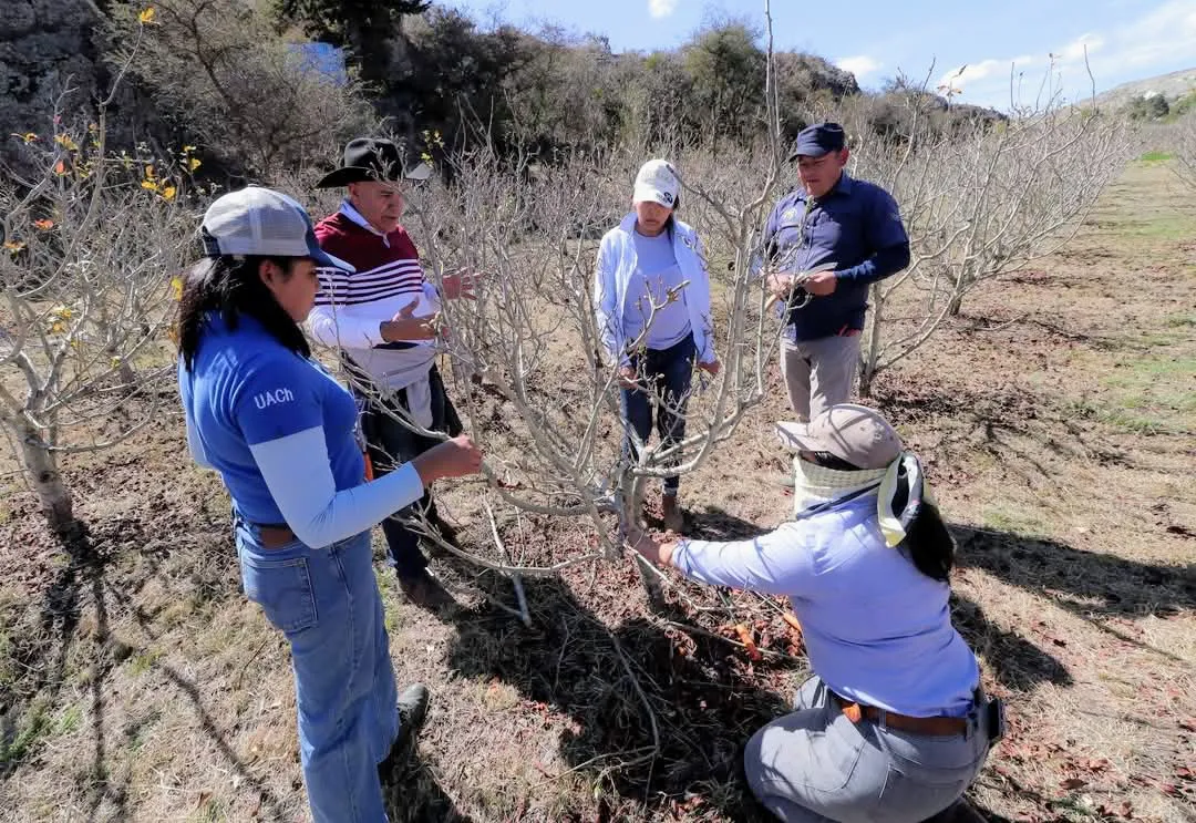 facebook_1738072210721_7290003225718001280