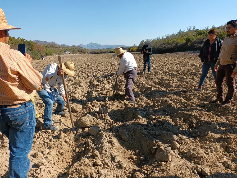 IMG_20230326_084717318