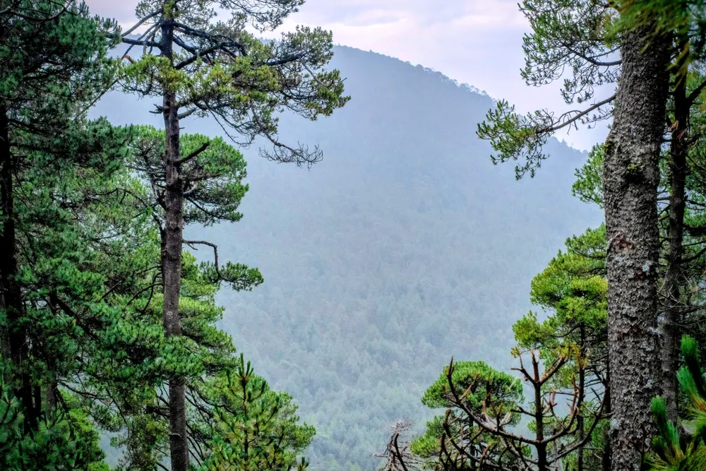 IMG-20260321-WA0056~2