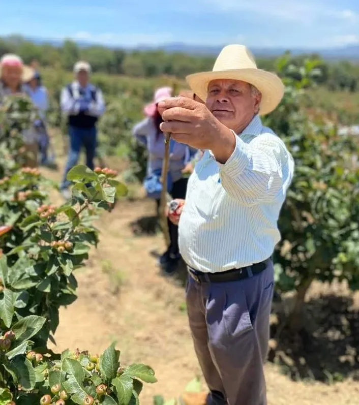 facebook_1720658418910_7216964489069644964~2