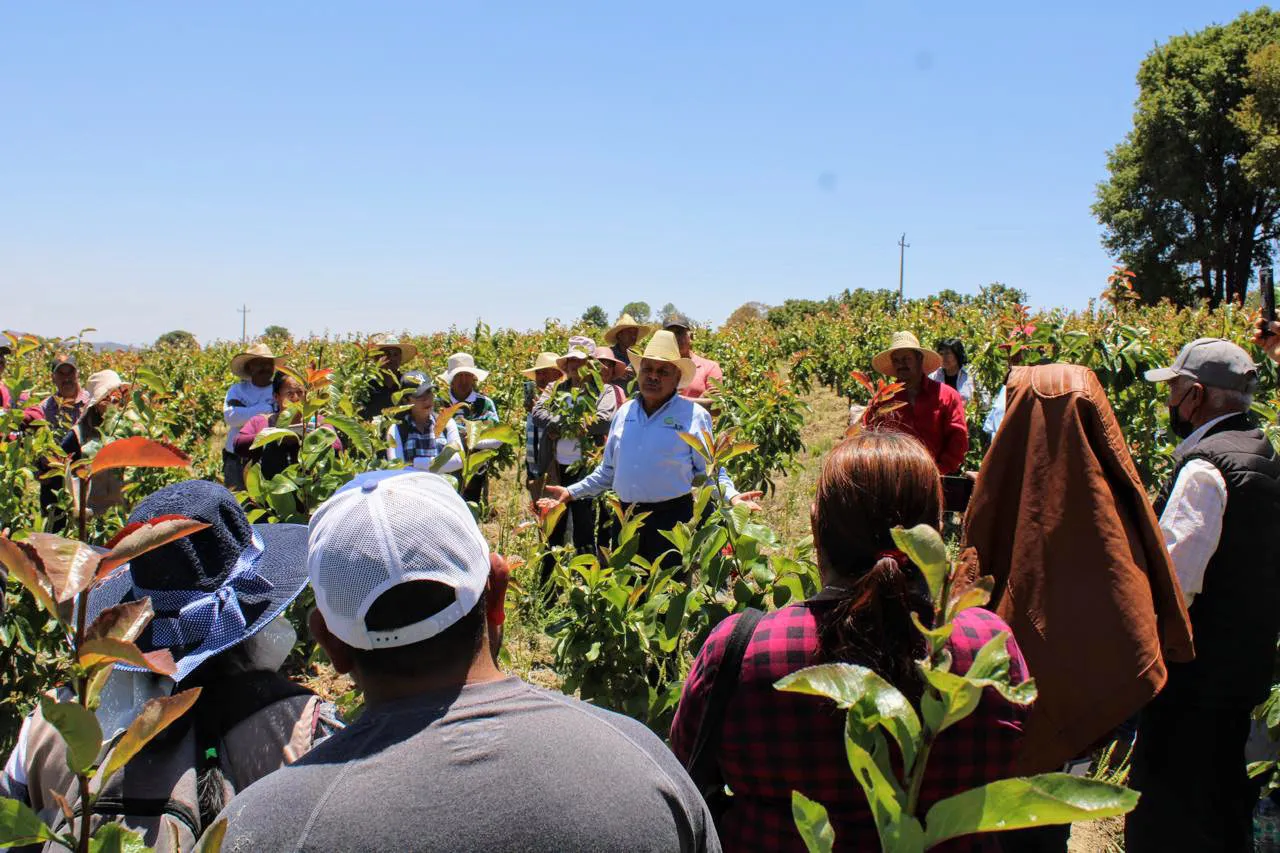 IMG-20250415-WA0007~2