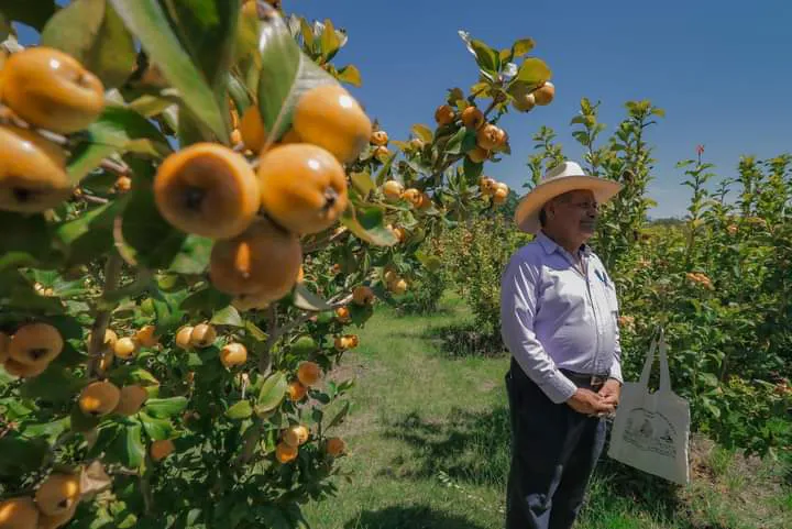 facebook_1728912673182_7251585340779913320