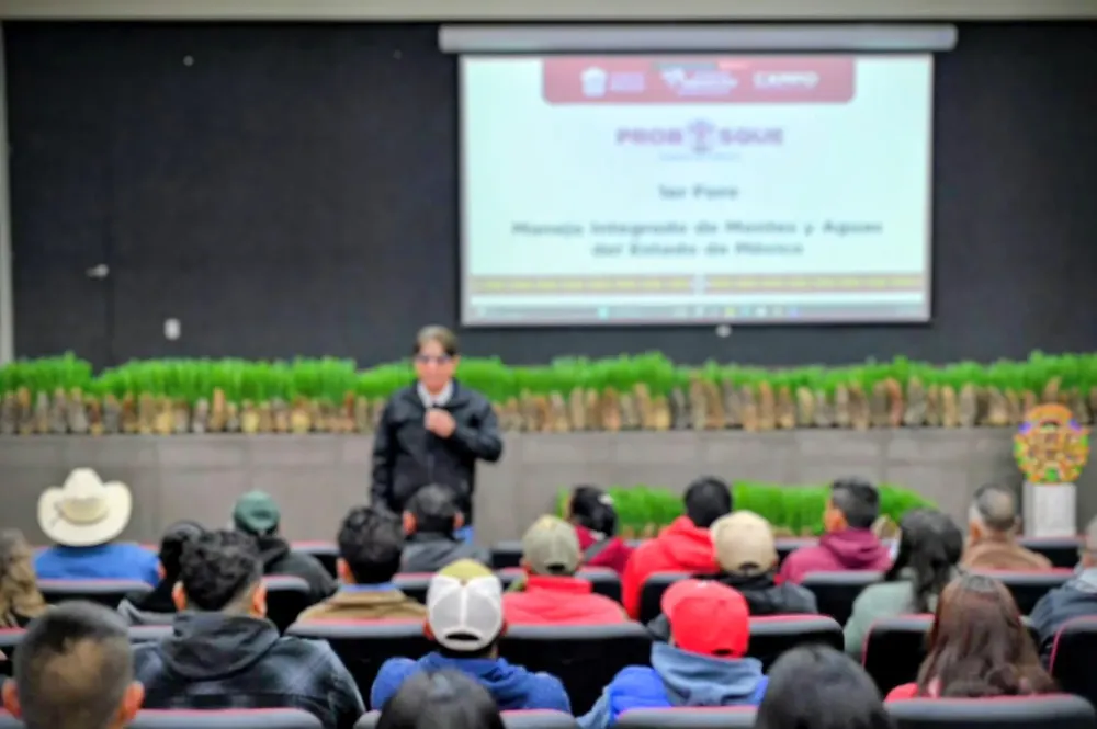 IMG-20251124-WA0020~2