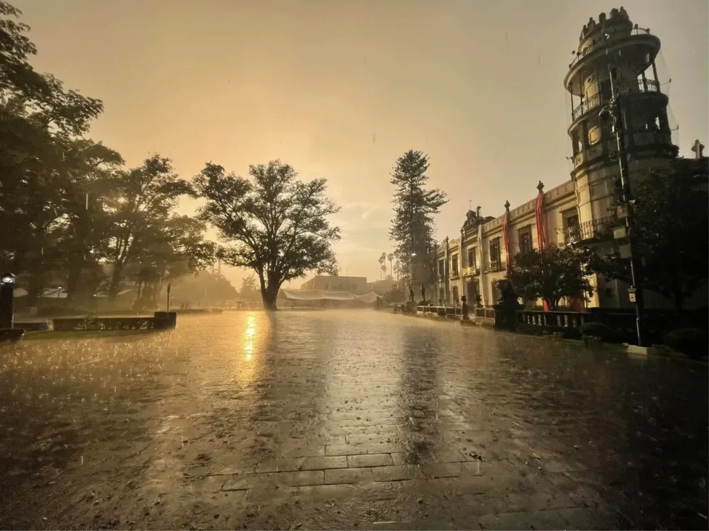 facebook_1750176047612_7340770397206203281