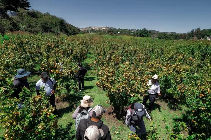 facebook_1728912580689_7251584952838380492