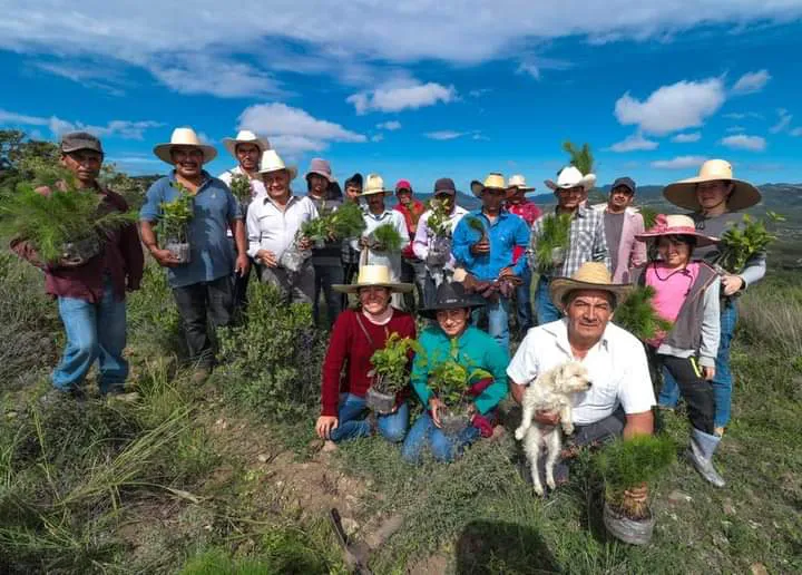 facebook_1724175680289_7231716952540416474