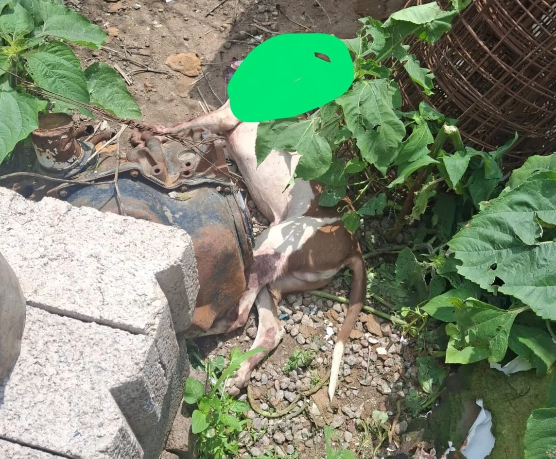 IMG-20250718-WA0071~2