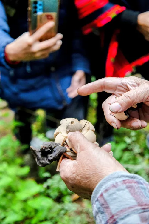 IMG-20260324-WA0081~2