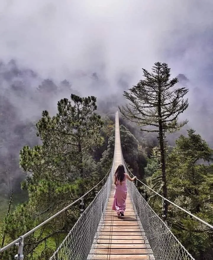 facebook_1757607472651_7371940052972630244