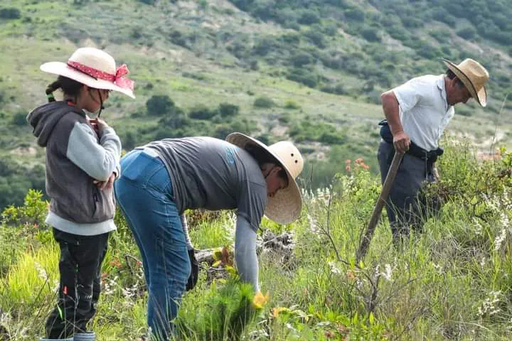 facebook_1724175613485_7231716672346028136