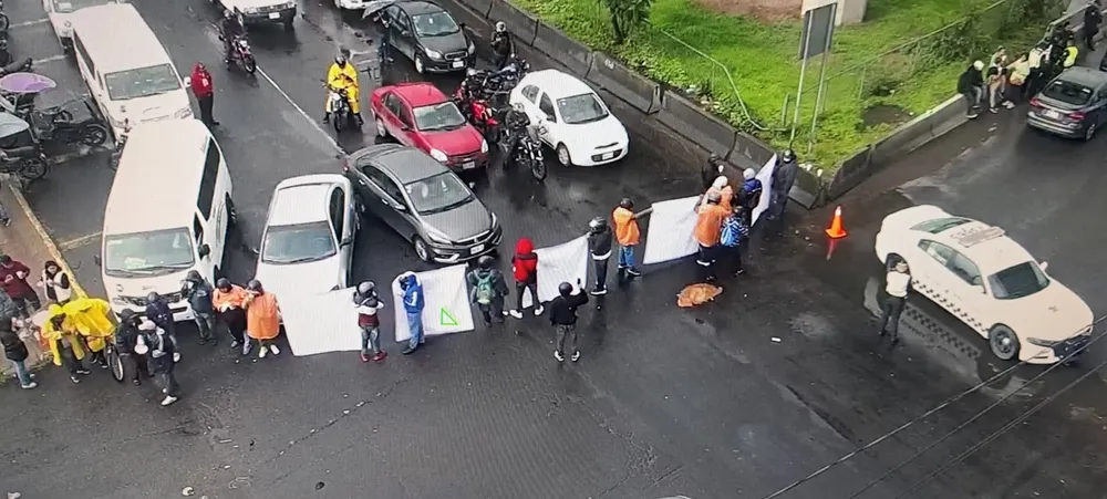 facebook_1756834201013_7368696716647065828