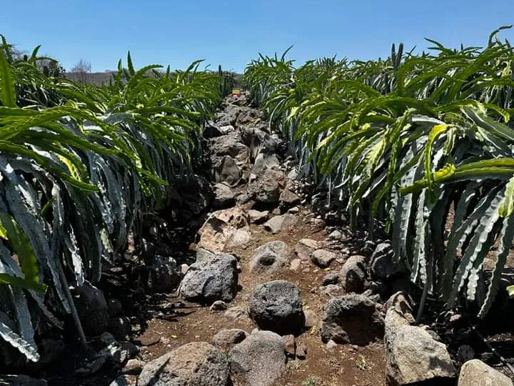 facebook_1713099677578_7185260830066109790