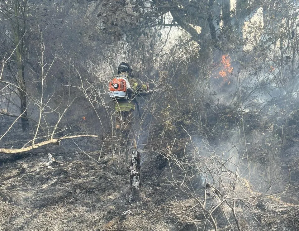 IMG-20240314-WA0041~2