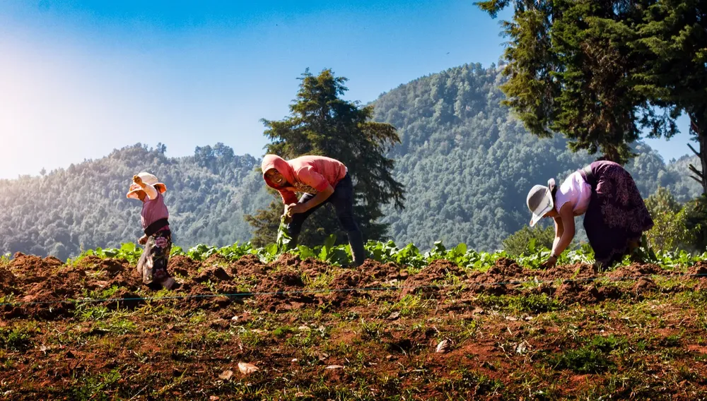 WhatsApp Image 2024-01-18 at 18.47.52