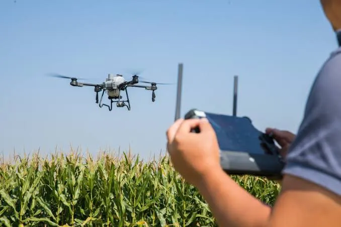 17620179561224376922396626983247