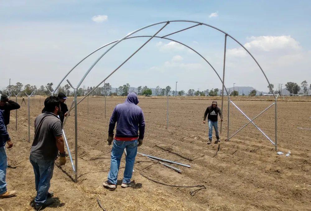 IMG-20250430-WA0066~2