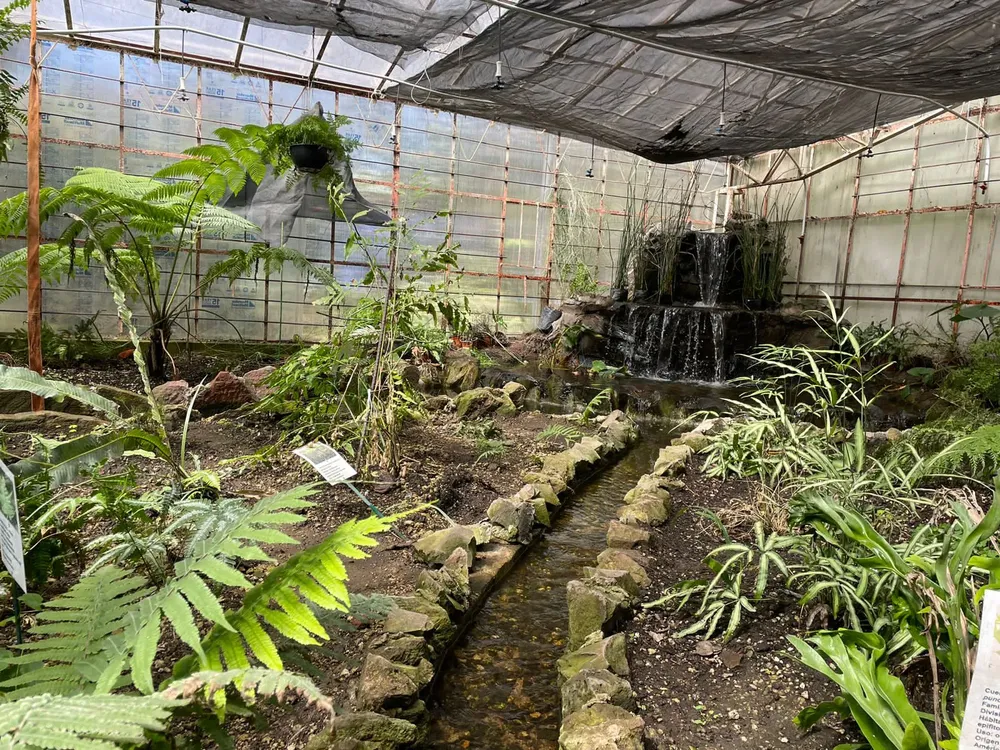 inbound7312802893615612186