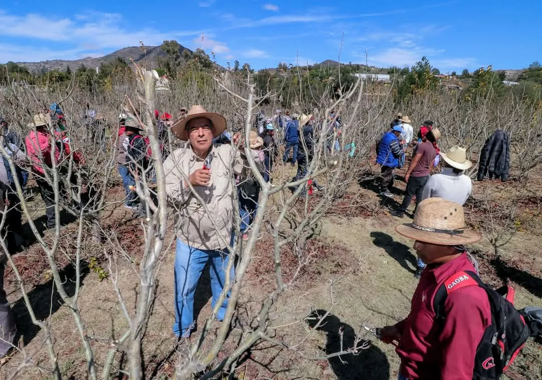 facebook_1738072126380_7290002871966590164