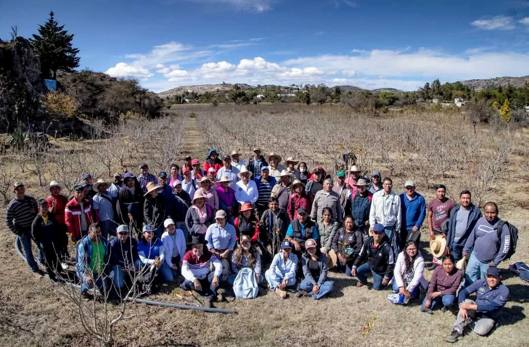 facebook_1738072276415_7290003501257478400