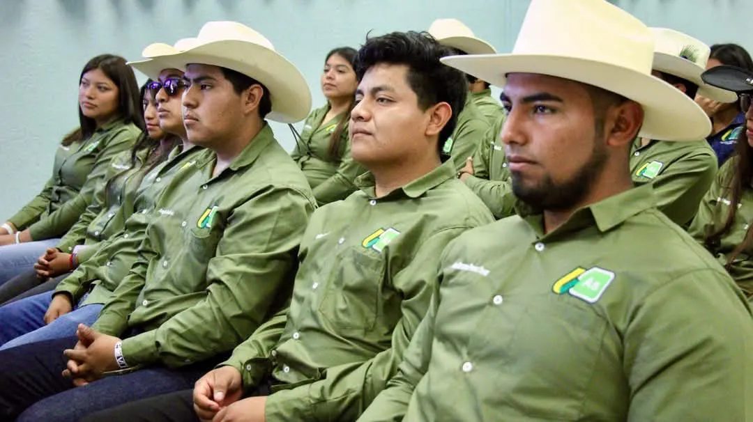 facebook_1740149421268_7298715678225301821