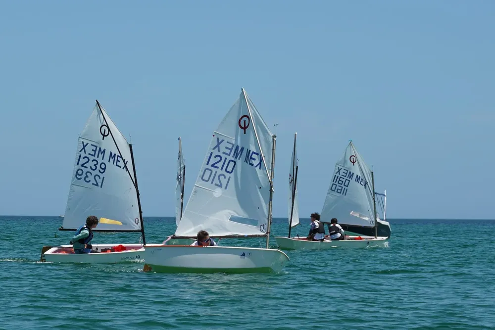 IMG-20260517-WA0010