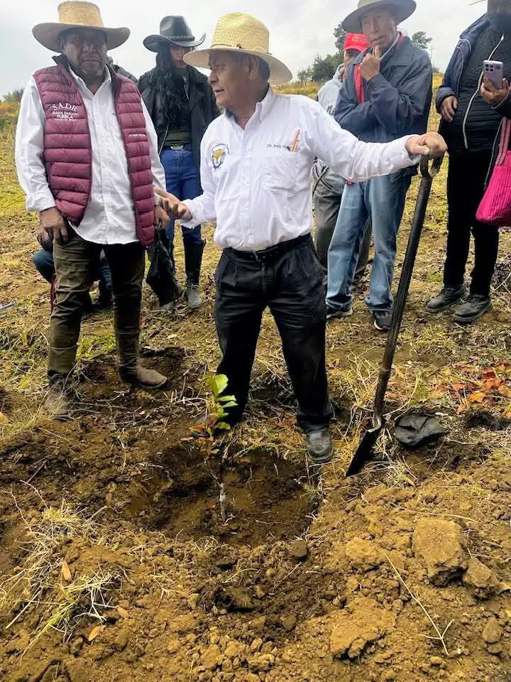 facebook_1740058753949_7298335391927203026