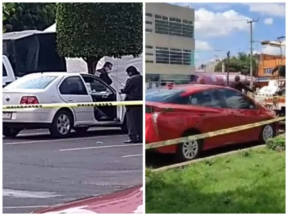 Collage_20210910_153053[1]