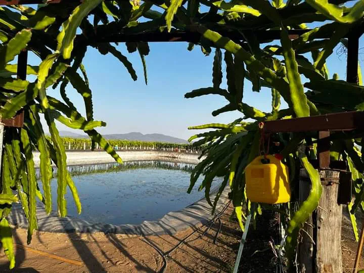 facebook_1713099661147_7185260761150564474